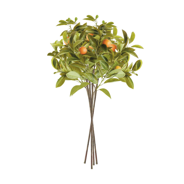 Faux Orange Stems 31", Set Of 4 – Modern Organic