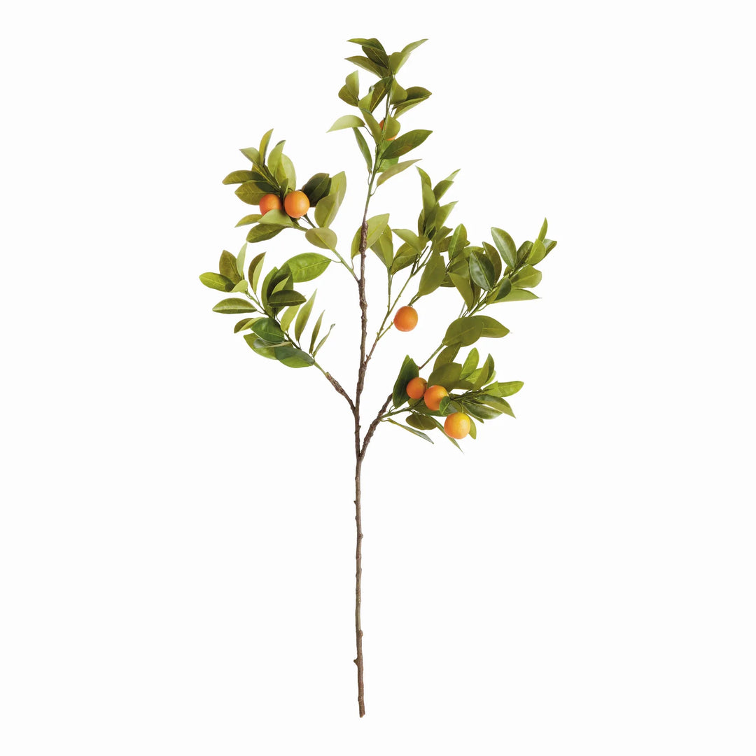 Faux Orange Branches 43", Set Of 2 – Modern Organic