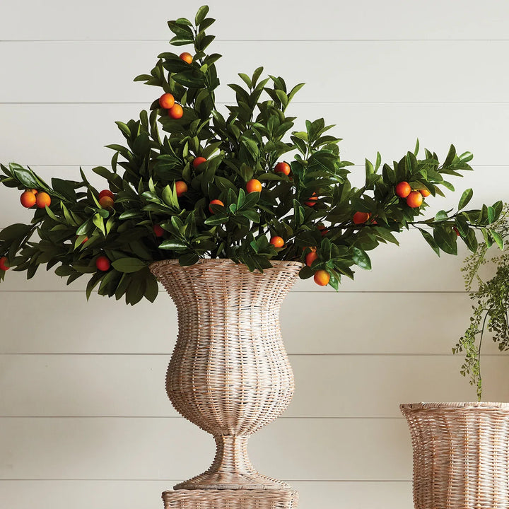 Faux Orange Branches 43", Set Of 2 – Modern Organic