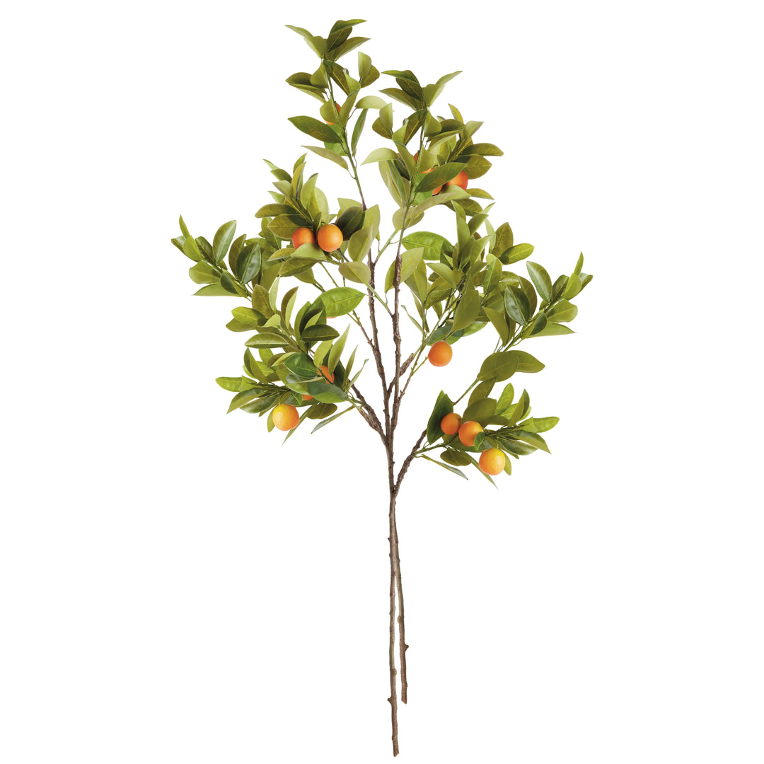 Faux Orange Branches 43", Set Of 2 – Modern Organic