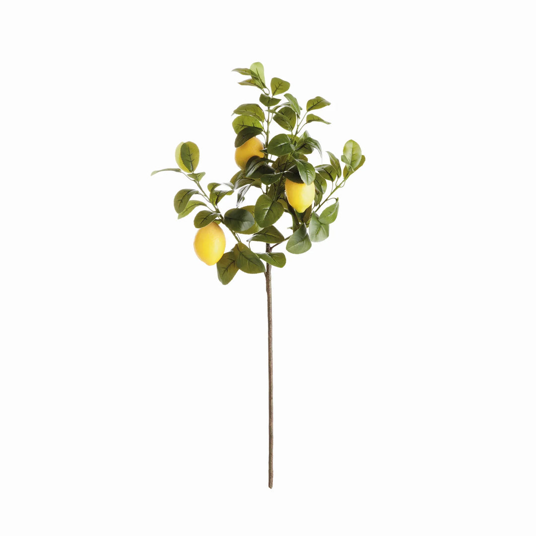 Faux Lemon Stems 31", Set Of 4 – Modern Organic