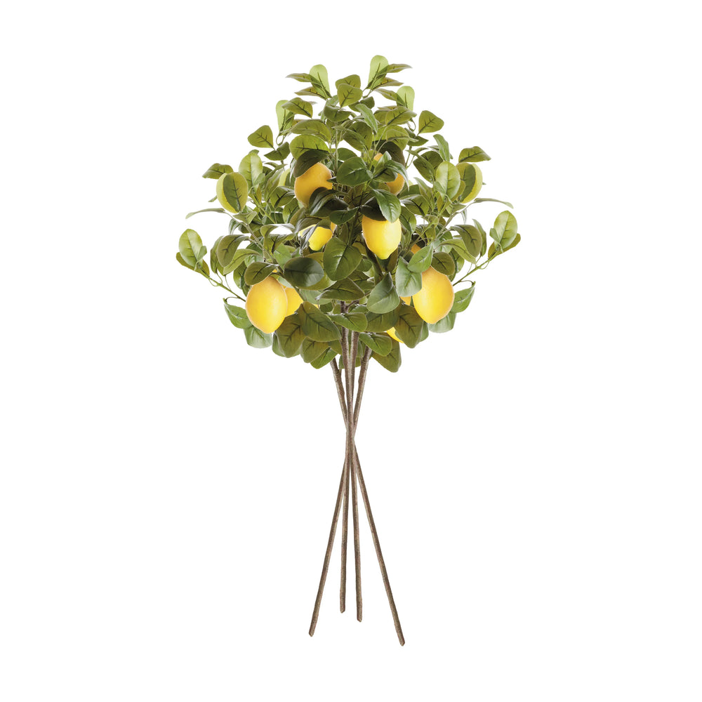 Faux Lemon Stems 31", Set Of 4 – Modern Organic