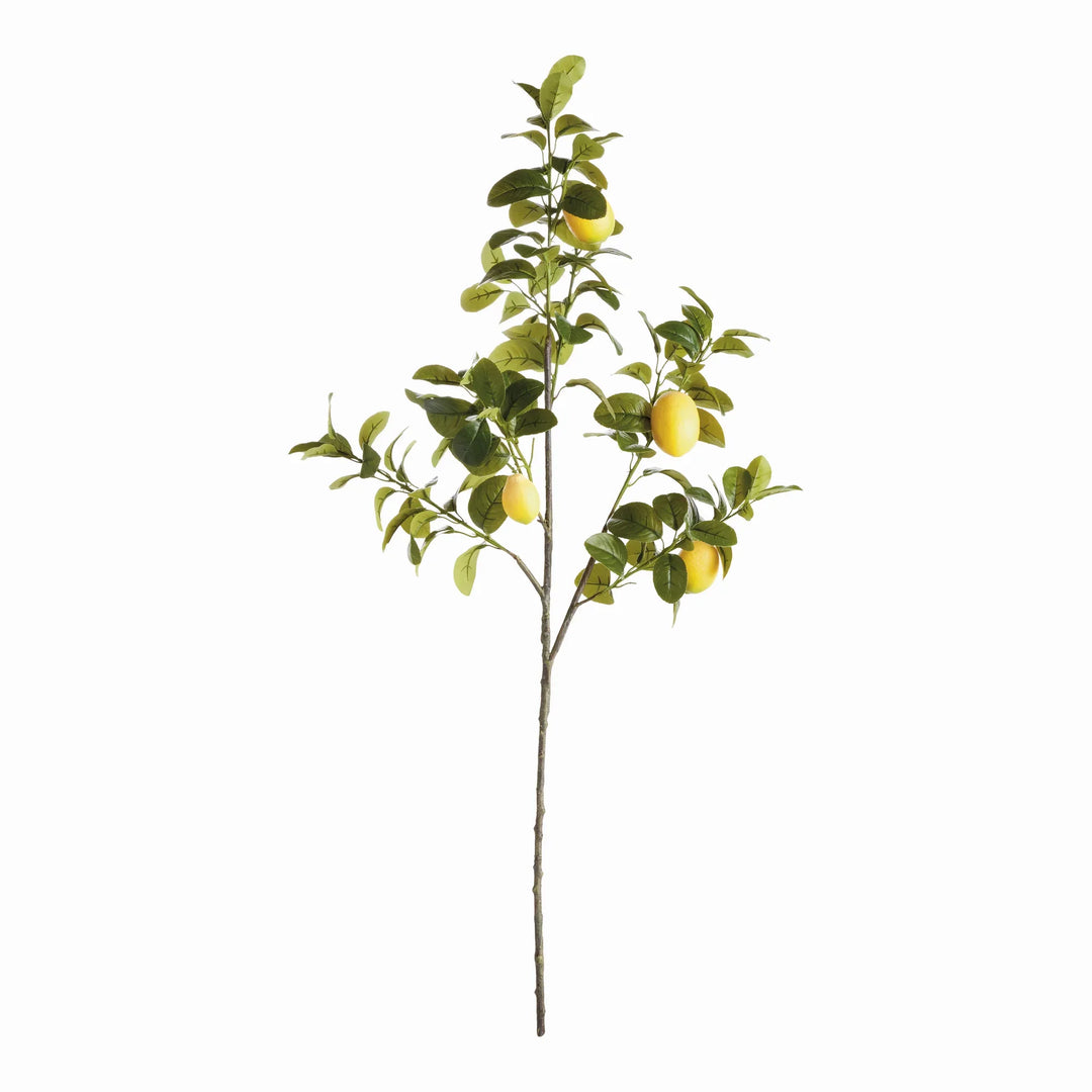 Faux Lemon Branches 43", Set Of 2 – Modern Organic
