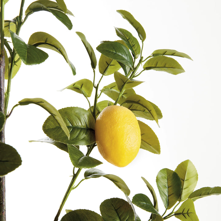 Faux Lemon Branches 43", Set Of 2 – Modern Organic