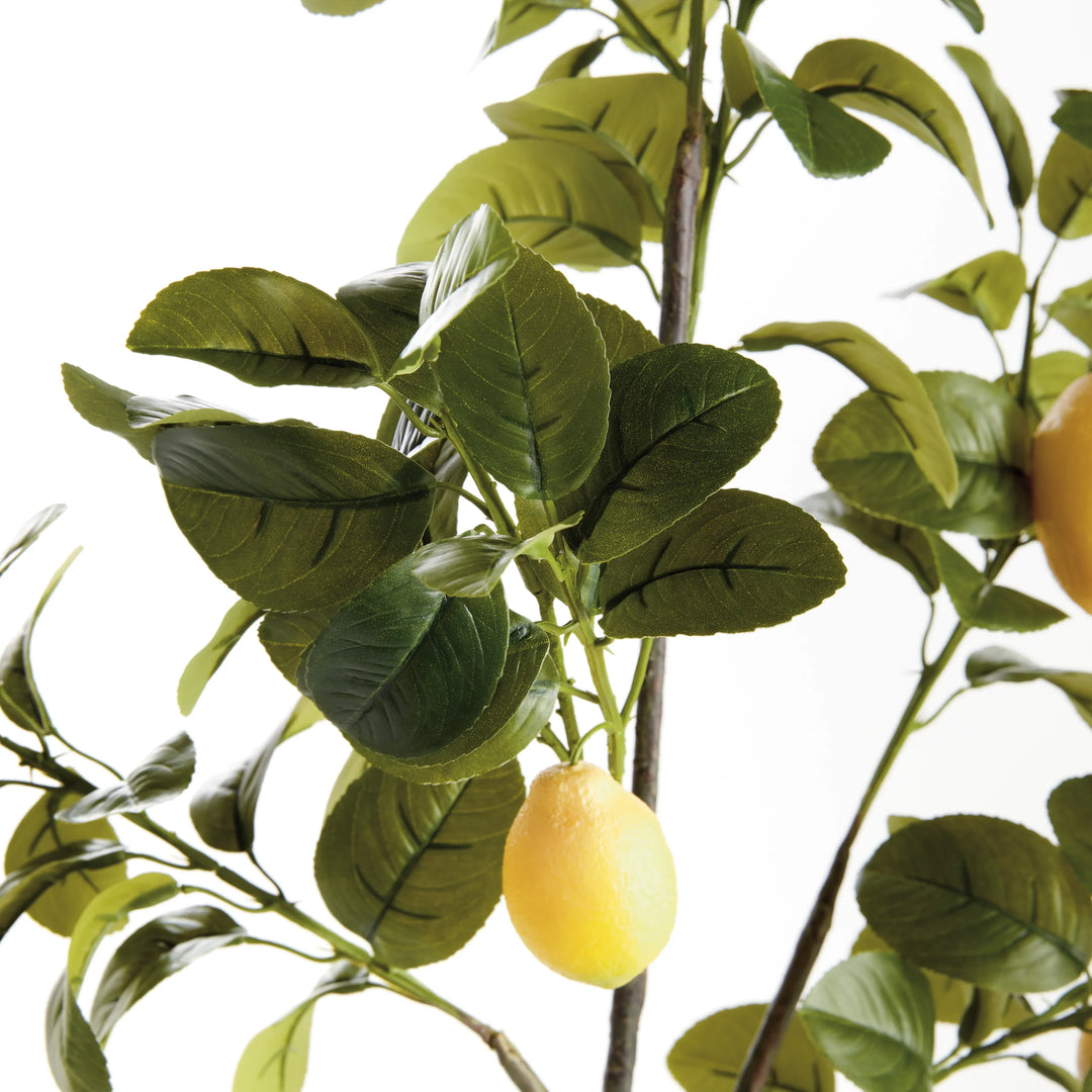 Faux Lemon Branches 43", Set Of 2 – Modern Organic