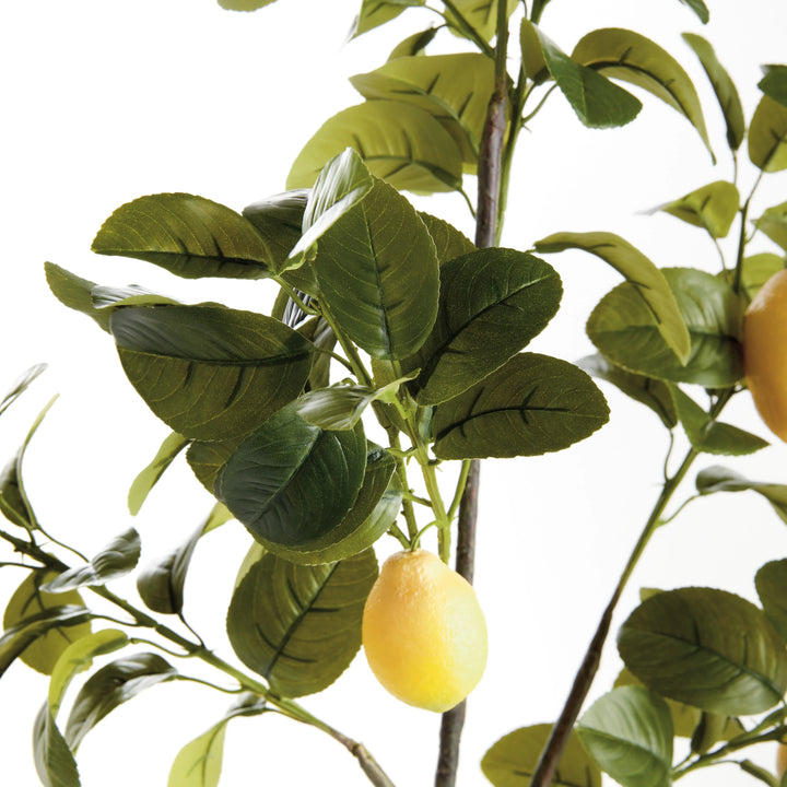Faux Lemon Branches 43", Set Of 2 – Modern Organic