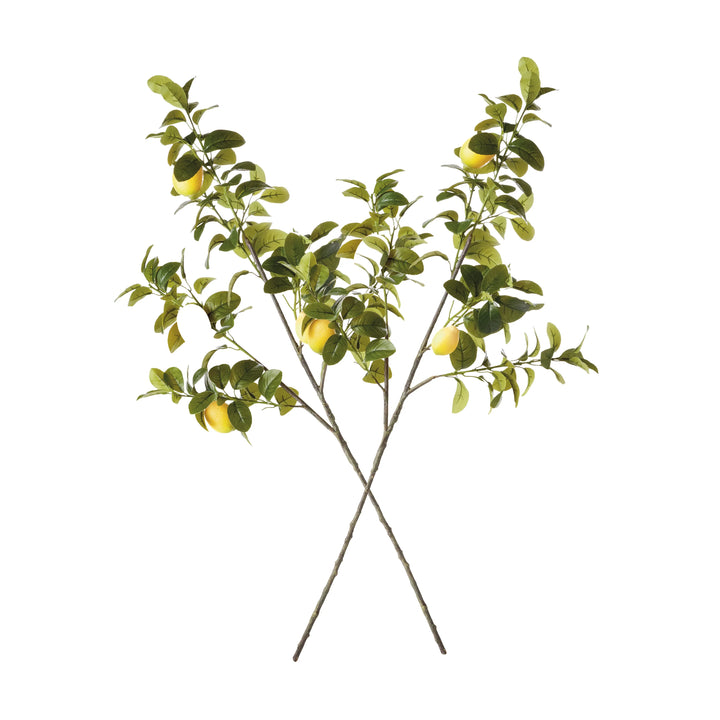 Faux Lemon Branches 43", Set Of 2 – Modern Organic
