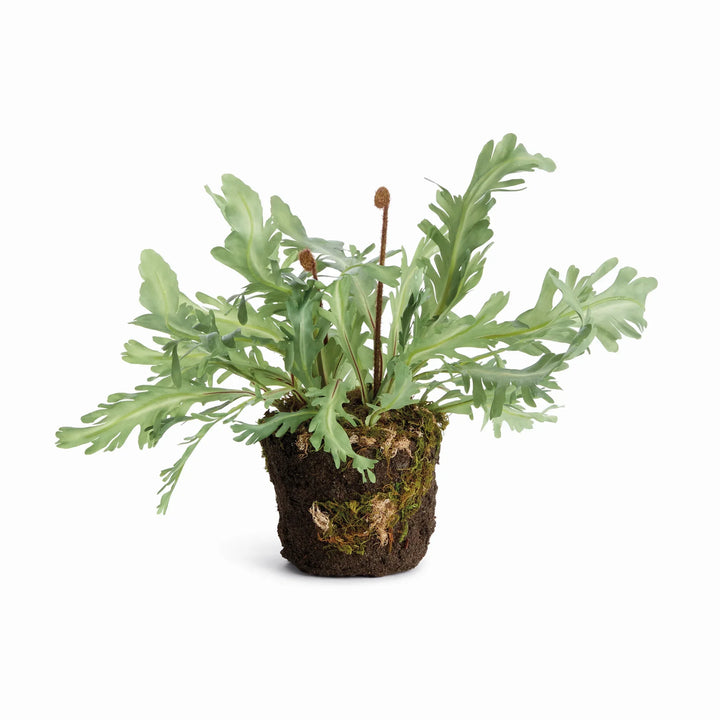 Rabbit Foot Drop-In 13.5" – Modern Organic