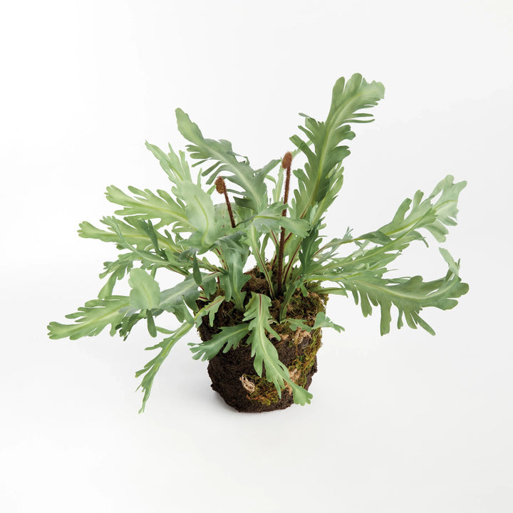 Rabbit Foot Drop-In 13.5" – Modern Organic