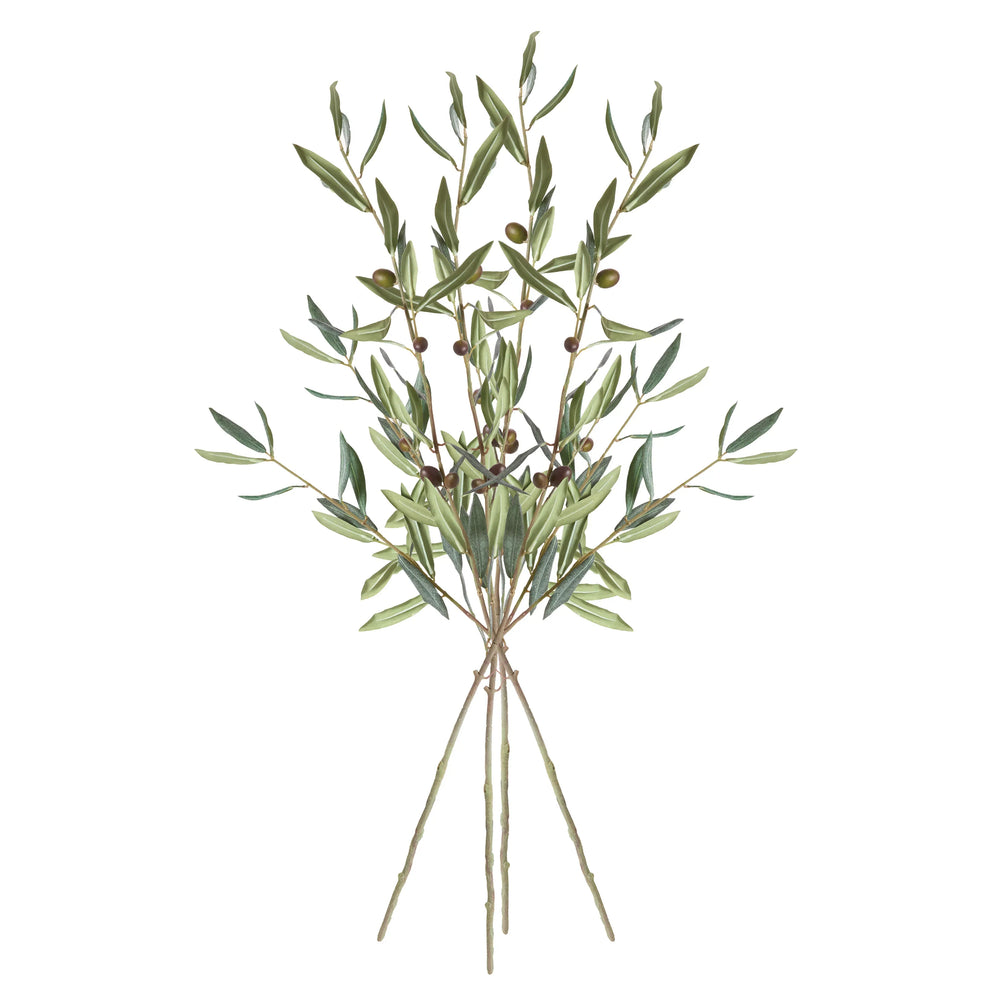 Olive Stems With Olives 32", Set Of 4 – Modern Organic