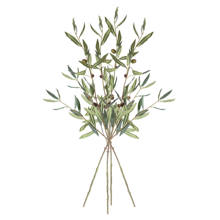 Olive Stems With Olives 32", Set Of 4 – Modern Organic