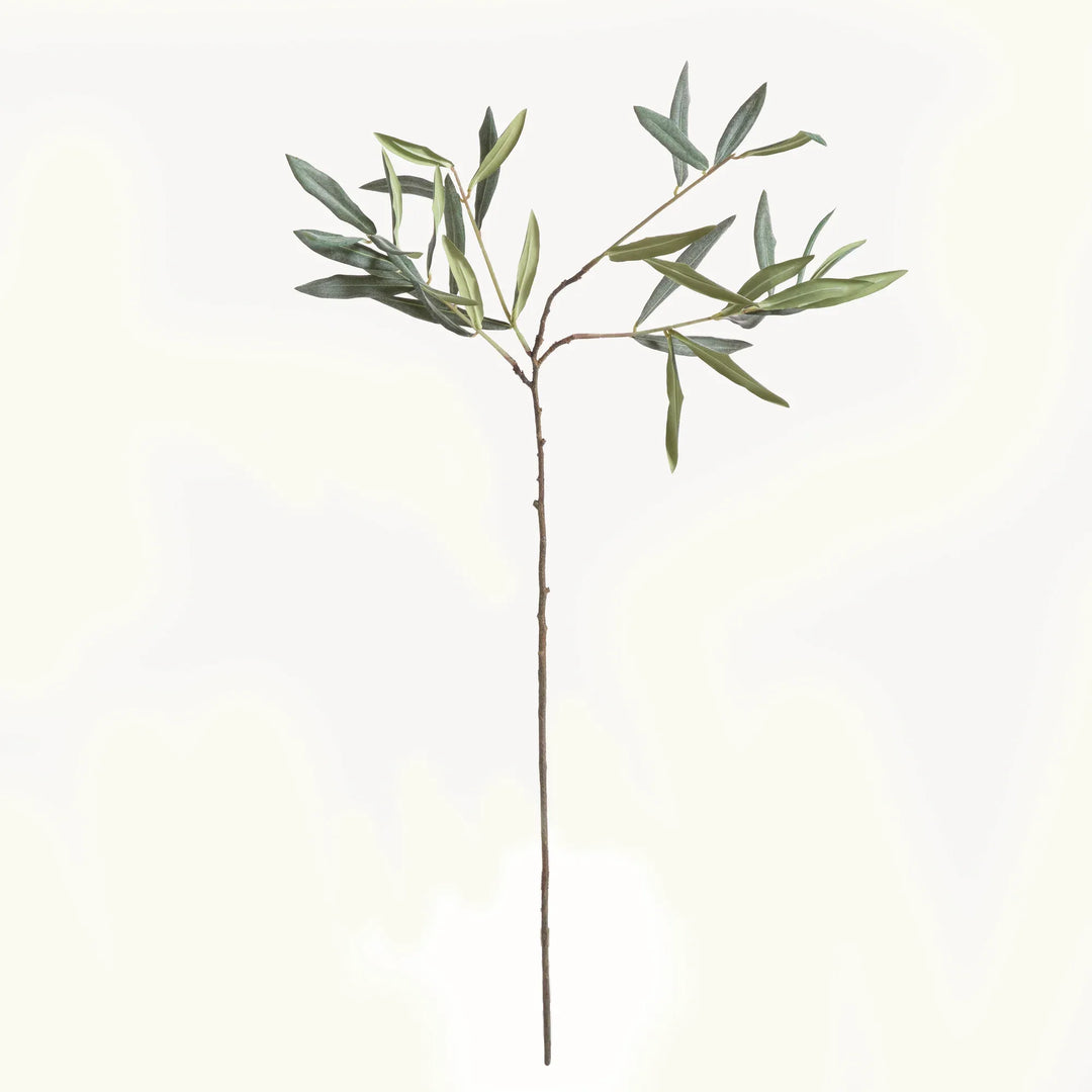 Olive Stems 30", Set Of 4 – Modern Organic