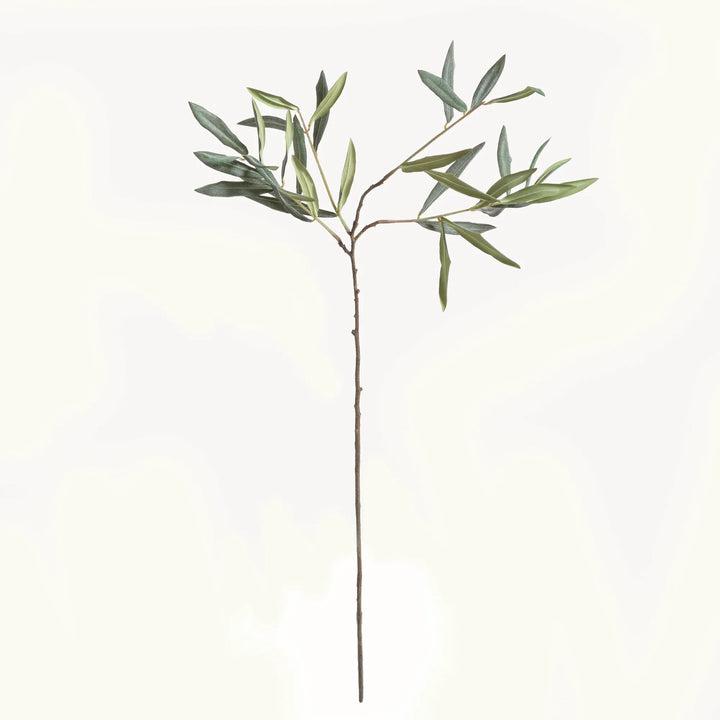 Olive Stems 30", Set Of 4 – Modern Organic