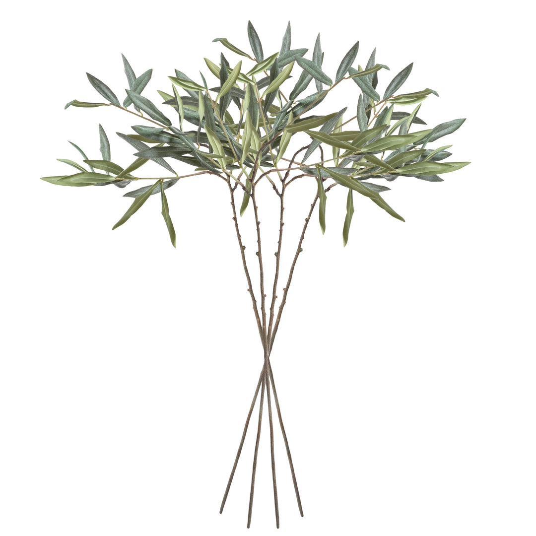 Olive Stems 30", Set Of 4 – Modern Organic