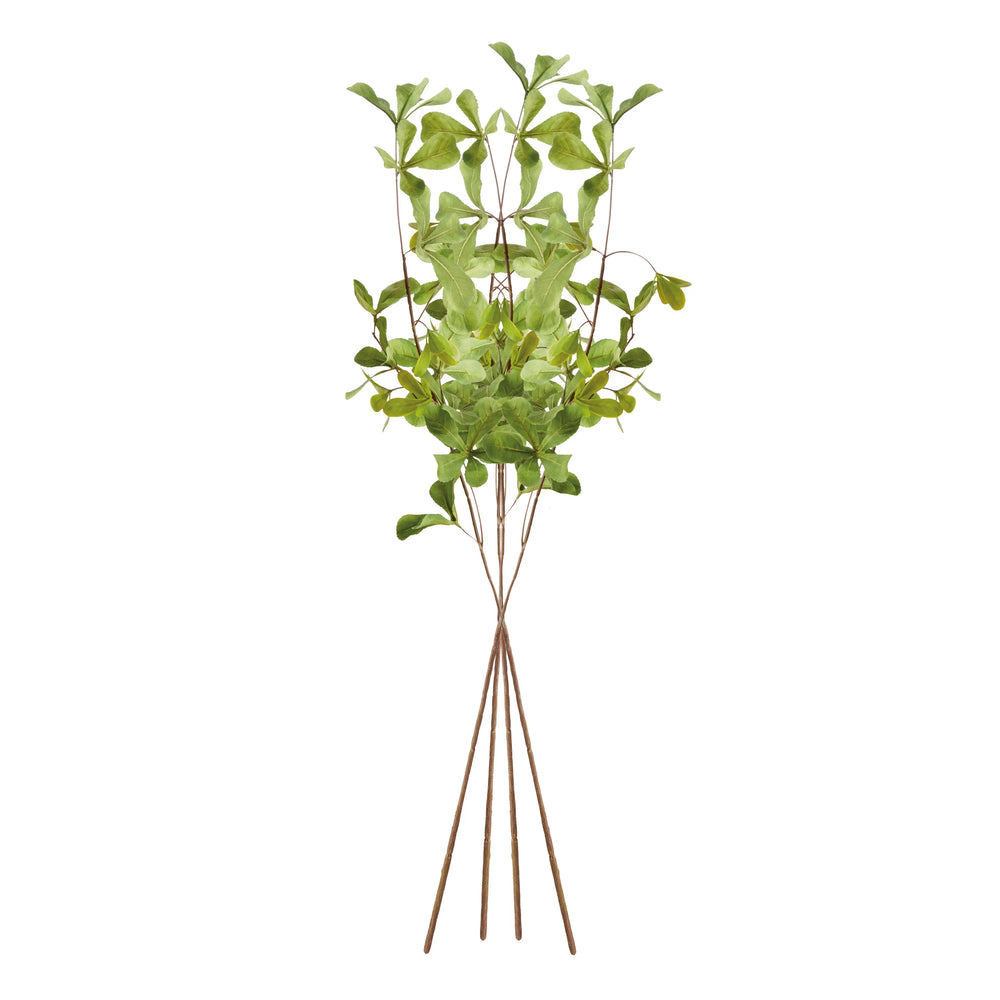 Shady Lady Black Olive Stems 28", Set Of 4 – Modern Organic