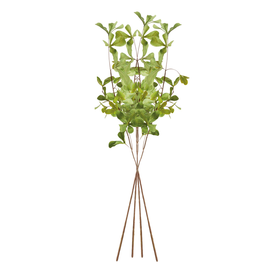 Shady Lady Black Olive Stems 28", Set Of 4 – Modern Organic
