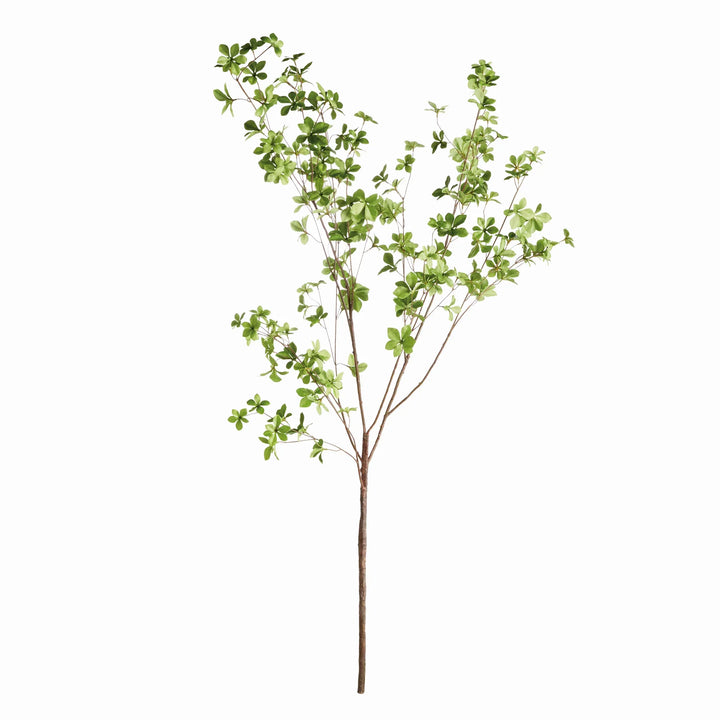 Shady Lady Black Olive Branches 56", Set Of 2 – Modern Organic