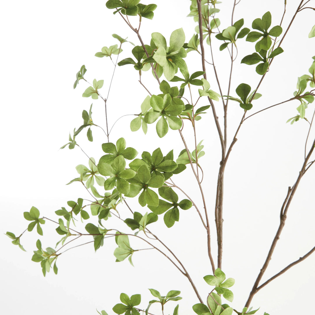 Shady Lady Black Olive Branches 56", Set Of 2 – Modern Organic