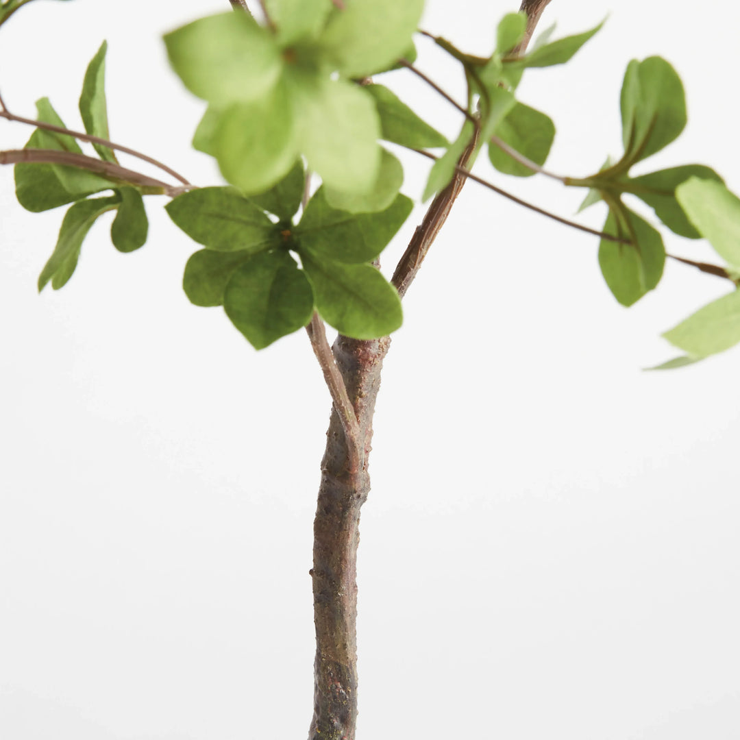 Shady Lady Black Olive Branches 56", Set Of 2 – Modern Organic