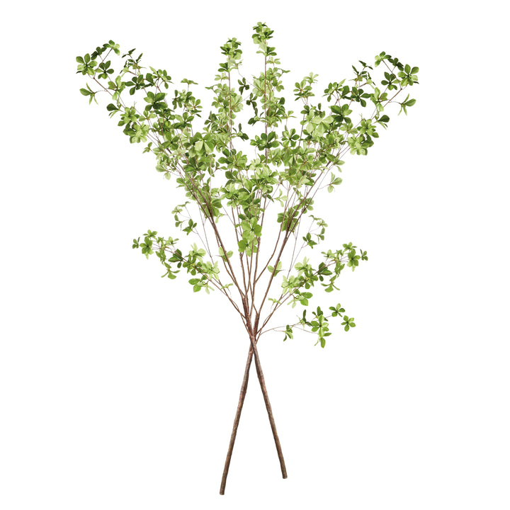 Shady Lady Black Olive Branches 56", Set Of 2 – Modern Organic