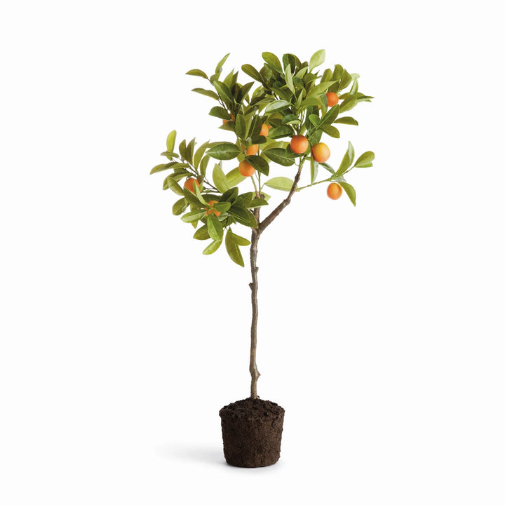 Faux Kumquat Tree Drop-In 33" – Modern Organic