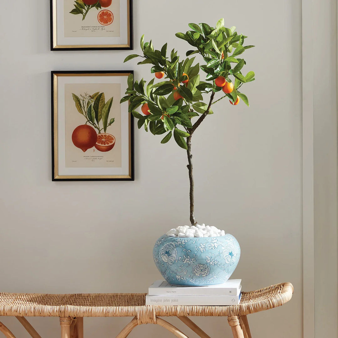 Faux Kumquat Tree Drop-In 33" – Modern Organic