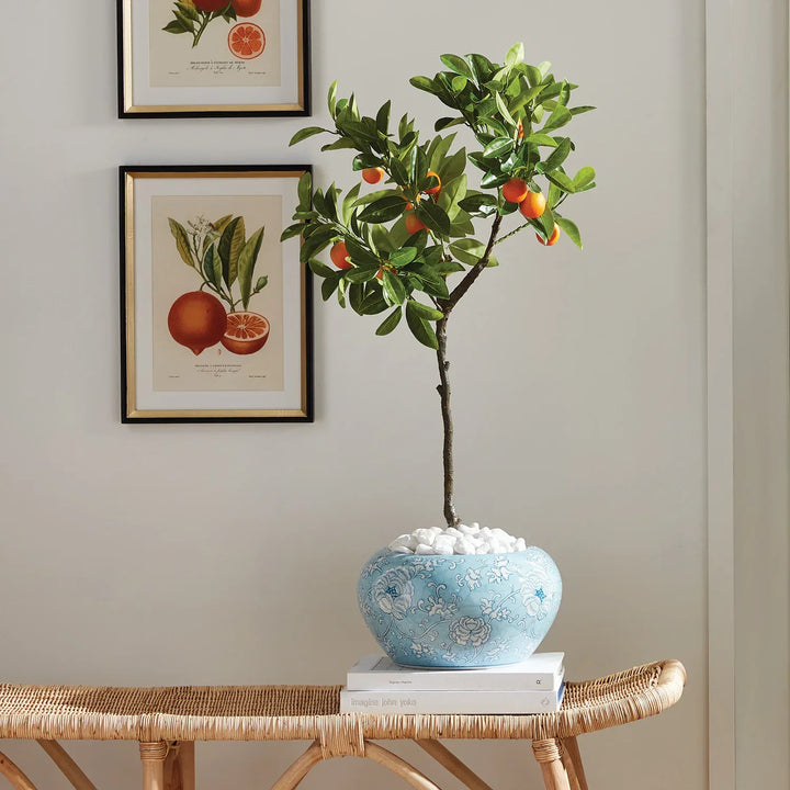 Faux Kumquat Tree Drop-In 33" – Modern Organic