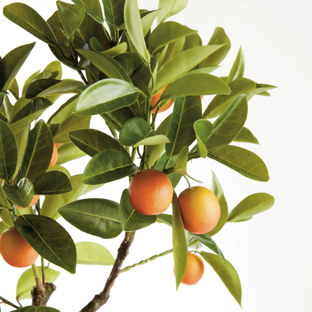 Faux Kumquat Tree Drop-In 33" – Modern Organic
