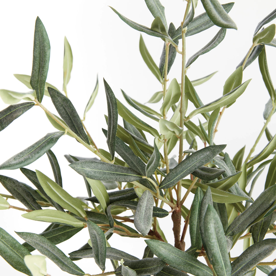 Olive Tree Drop-In 17.5" – Modern Organic