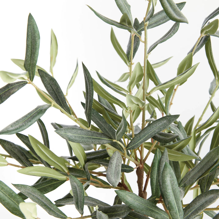 Olive Tree Drop-In 17.5" – Modern Organic