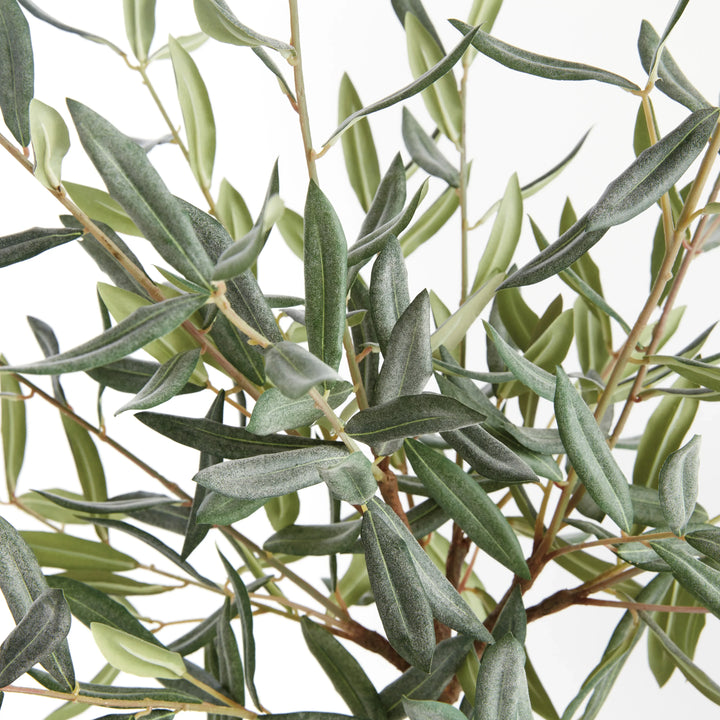 Olive Tree Drop-In 26" – Modern Organic