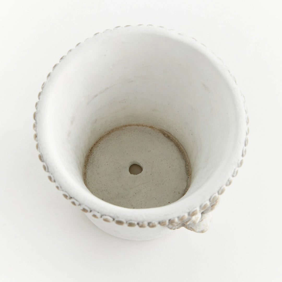 Classic Rabbit Pot Medium – Modern Organic
