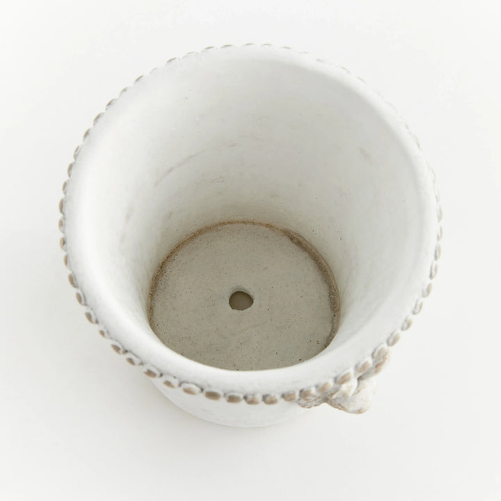 Classic Rabbit Pot Medium – Modern Organic