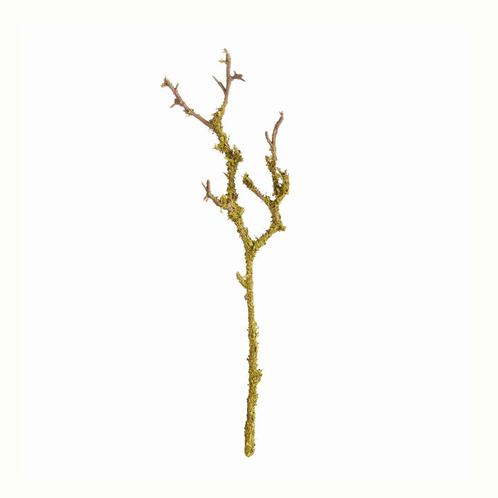 Lichen Branches 17", Set Of 6 – Modern Organic