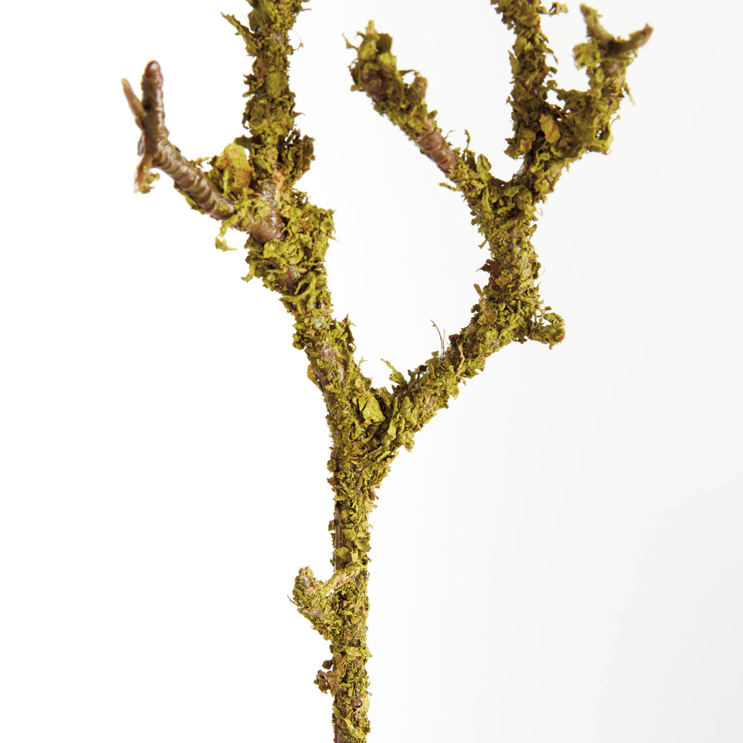 Lichen Branches 17", Set Of 6 – Modern Organic