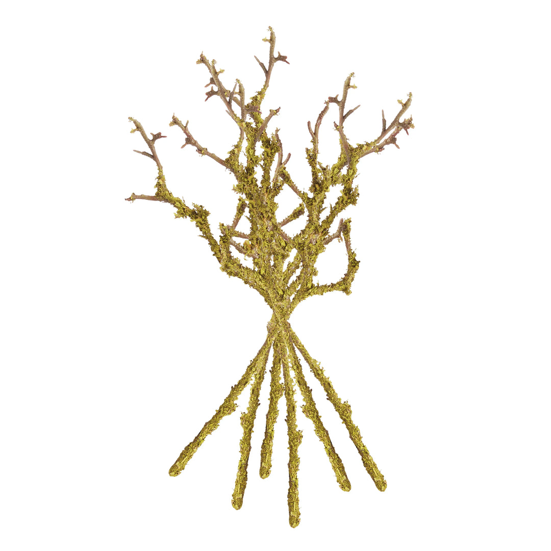 Lichen Branches 17", Set Of 6 – Modern Organic
