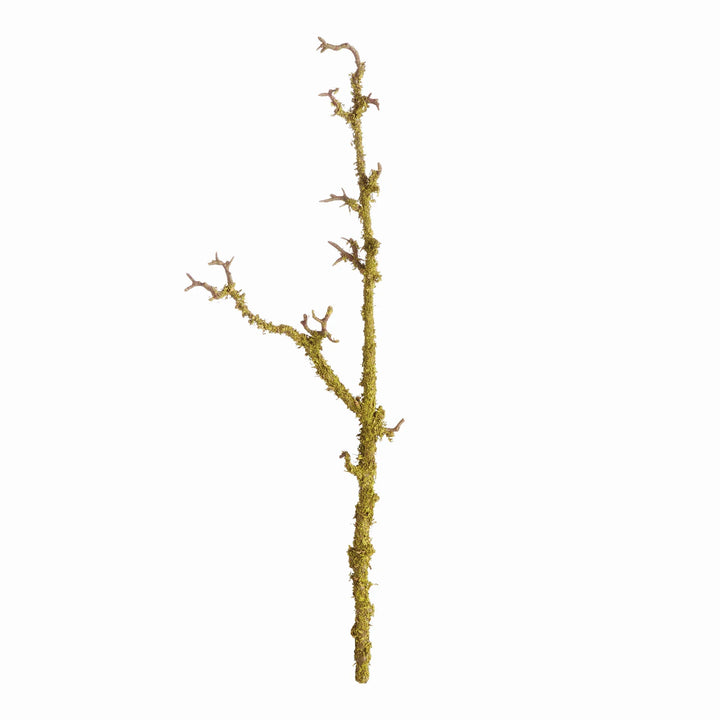 Lichen Branches 28", Set Of 2 – Modern Organic