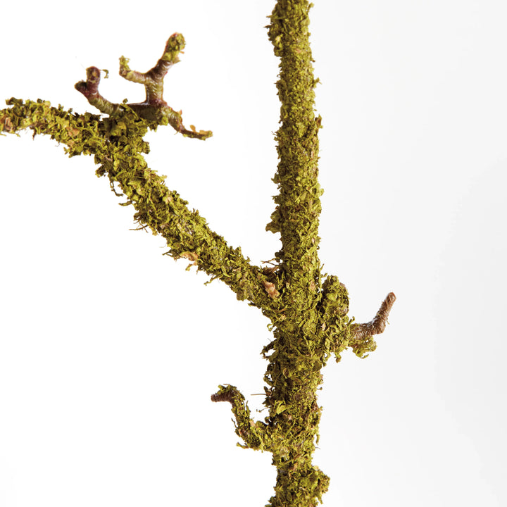 Lichen Branches 28", Set Of 2 – Modern Organic
