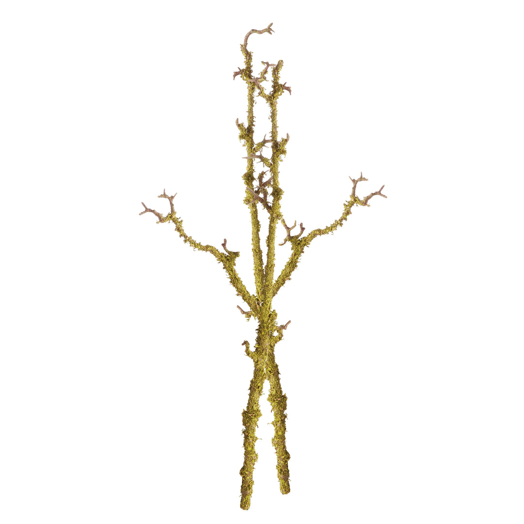 Lichen Branches 28", Set Of 2 – Modern Organic