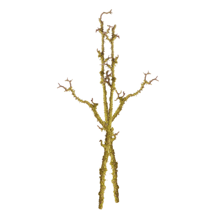 Lichen Branches 28", Set Of 2 – Modern Organic