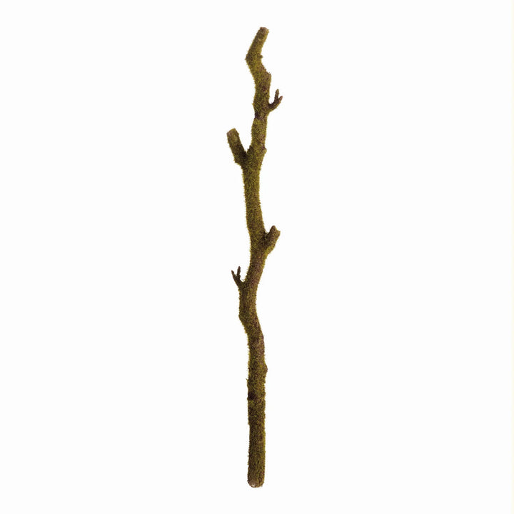 Moss Branches 24", Set Of 2 – Modern Organic