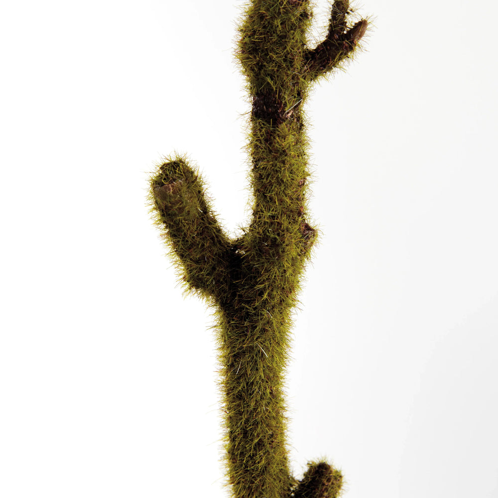 Moss Branches 24", Set Of 2 – Modern Organic