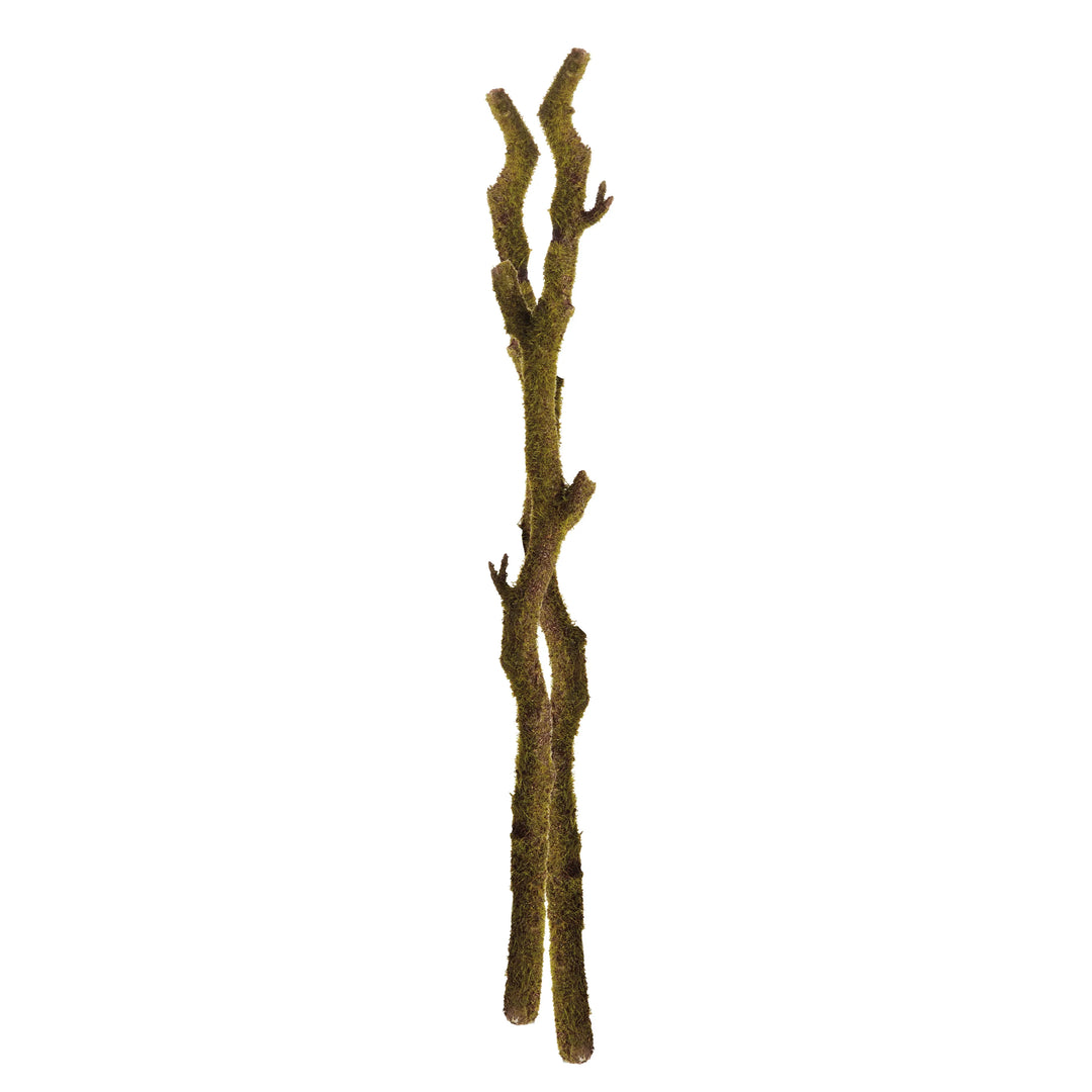 Moss Branches 24", Set Of 2 – Modern Organic