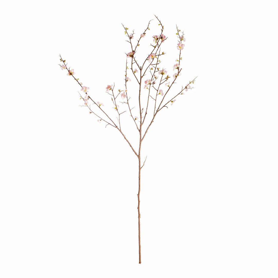 Pink Quince Blossom Branches 54", Set Of 2 – Modern Organic