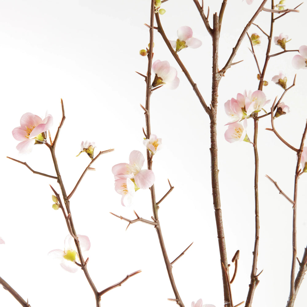 Pink Quince Blossom Branches 54", Set Of 2 – Modern Organic
