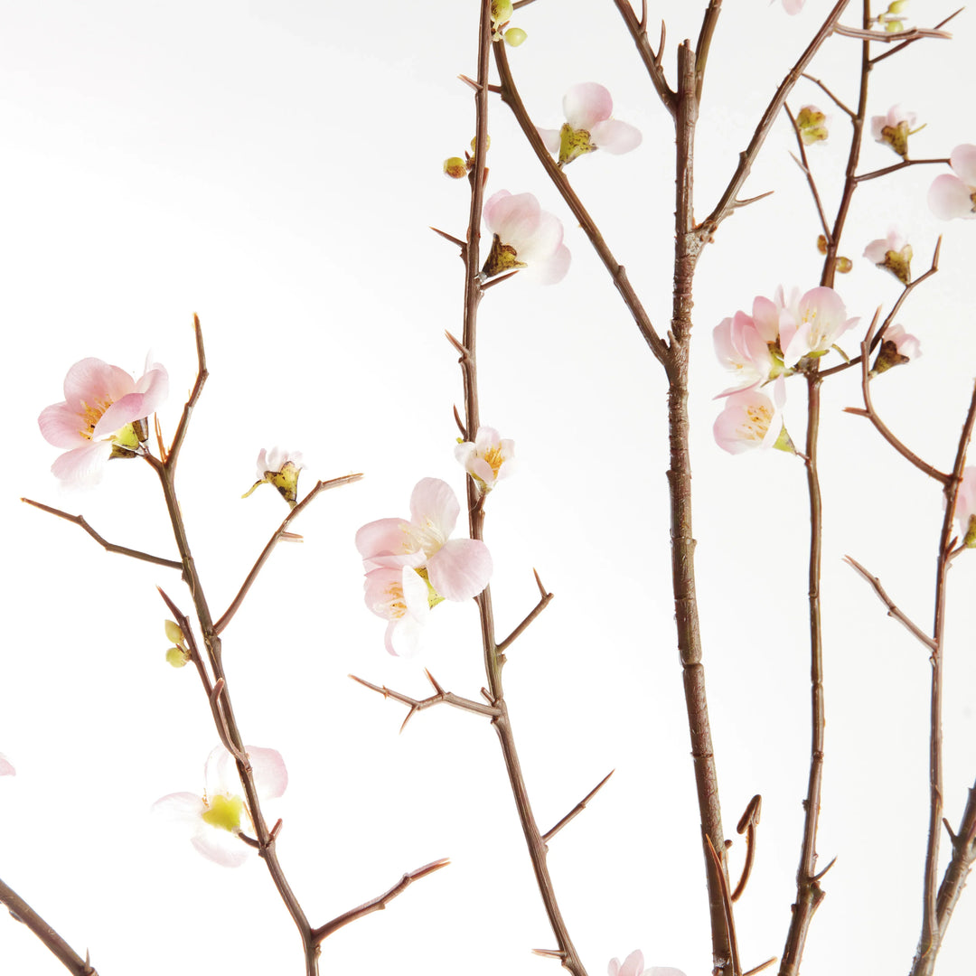 Pink Quince Blossom Branches 54", Set Of 2 – Modern Organic