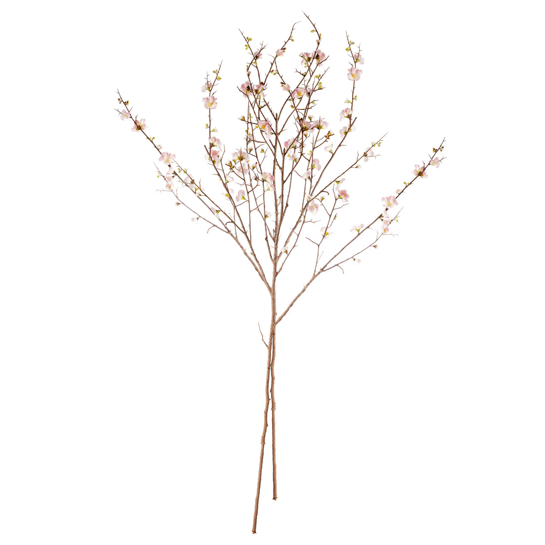 Pink Quince Blossom Branches 54", Set Of 2 – Modern Organic