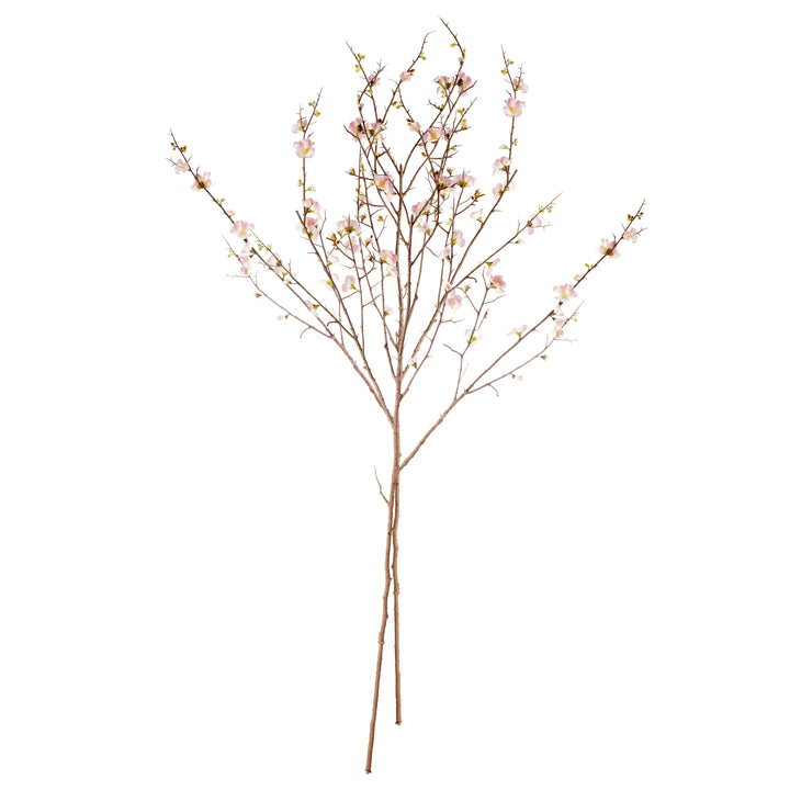 Pink Quince Blossom Branches 54", Set Of 2 – Modern Organic