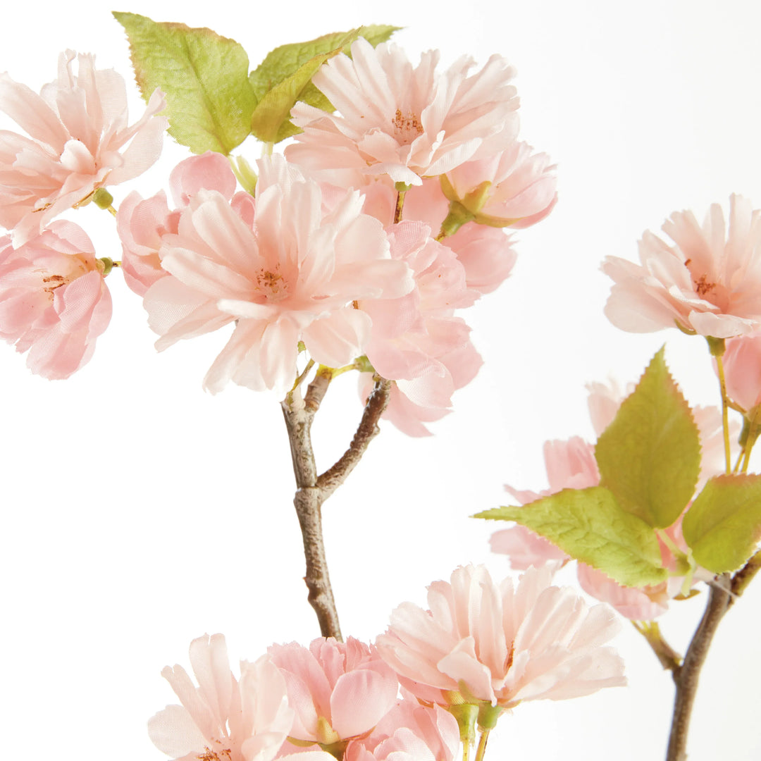 Double Cherry Blossom Stems 28", Set Of 6 – Modern Organic