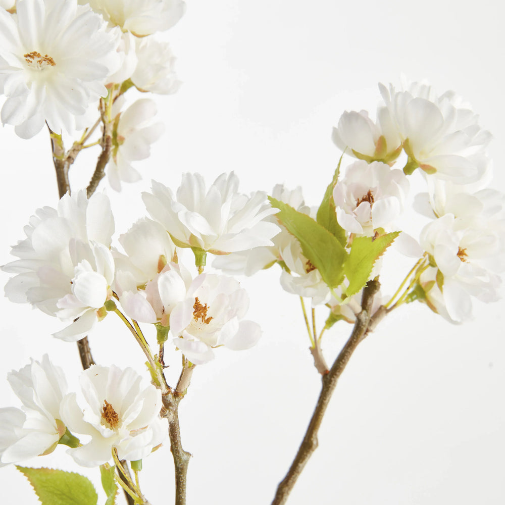 Double Cherry Blossom Stems 28", Set Of 6 – Modern Organic